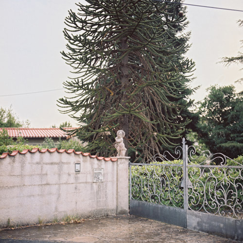 photographie | bel-air | &copy; patrice de Santa Coloma